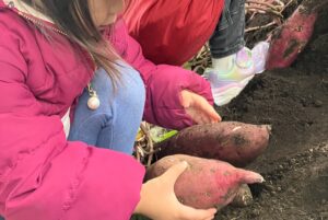お芋ほりと焼き芋パーティ！！