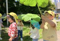 あめふりくまのこ♪～フキの葉っぱ遊び～