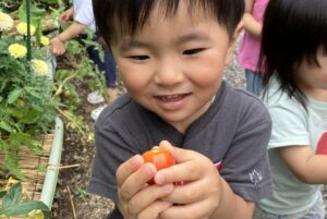 育てた夏野菜でミートソースを作りました！！